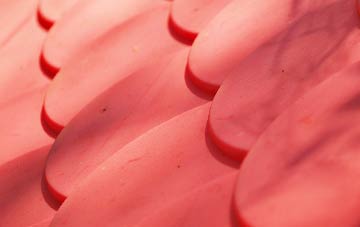 Ballyroney plastic roof costs